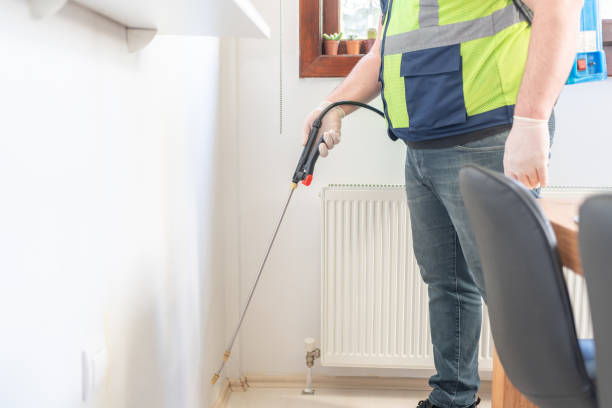 Flea Control Services in Stony Brook University, NY
