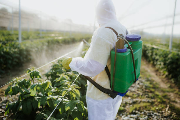 Pest Control Cost in Stony Brook University, NY
